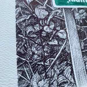 Private Woods by Gail Hoban, Image 3.