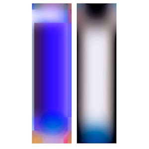 LenEM-1 by Bill Kane, Image 2.