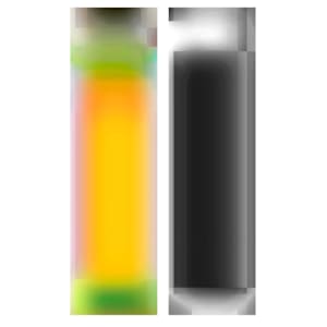 LenEM-2 by Bill Kane, Image 4.
