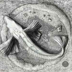 Nesting Icefish by Shana Katzman, Image 1.
