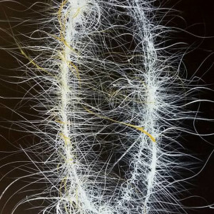 Thought as Linear Expression#1 by James de Villiers