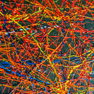Neuron Structures. by James de Villiers  Image: Neuron Structures. Closeup