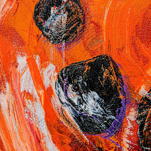 Copernicus Dreams by James de Villiers 