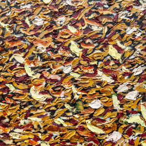 Winter Ground by James de Villiers 