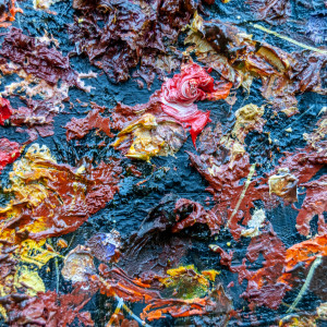 Flower Ground by James de Villiers 