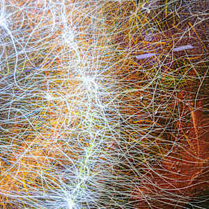 Luminous Singularity by James de Villiers 