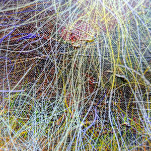 Luminous Singularity by James de Villiers 