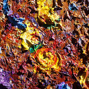 Fallen Flowers by James de Villiers 