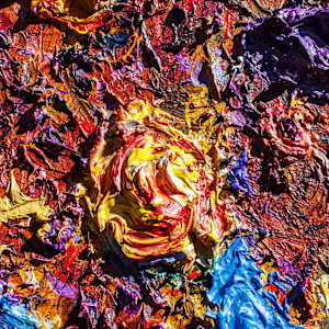 Fallen Flowers by James de Villiers 