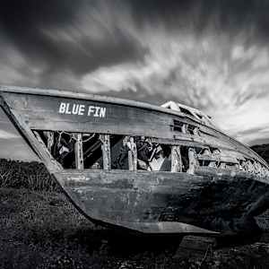 Blue Fin by Hugh Walker, Image 1.