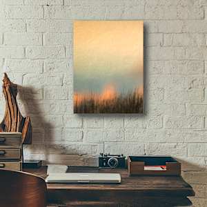 Aurora by Hugh Walker, Image 2.