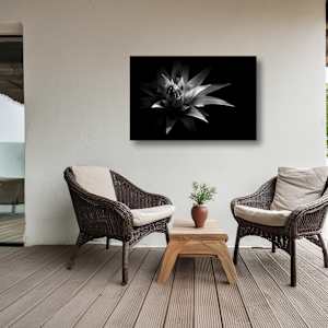 Black Liquid by Hugh Walker, Image 2.