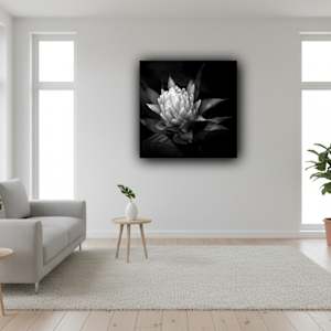 Caught In Light by Hugh Walker, Image 2.