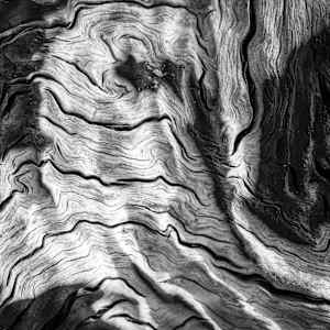 Eternal Lines 1 by Hugh Walker, Image 1.