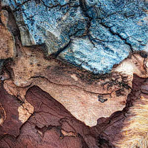 Complexity by Hugh Walker, Image 1.