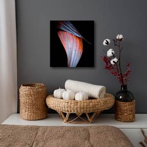 Diagonal by Hugh Walker, Image 2.