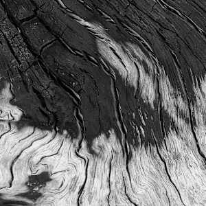 Eternal Lines 3 by Hugh Walker, Image 1.