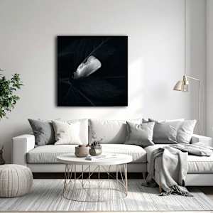 Flat Line by Hugh Walker, Image 2.