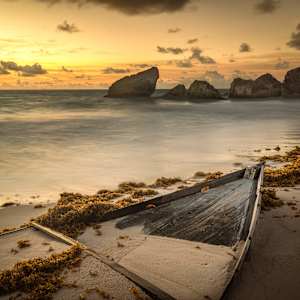 Destiny by Hugh Walker, Image 1.