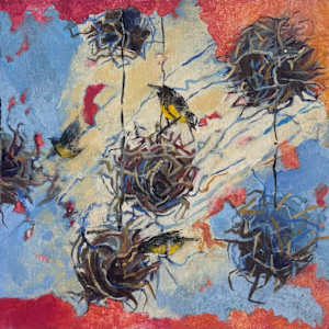 Hanging Nests Fall by Alison Chapman-Andrews, Image 1.