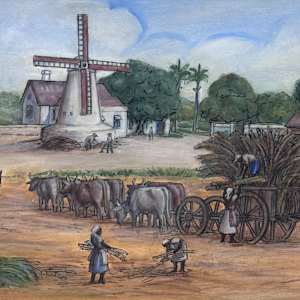 Egerton Plantation by Kathleen C. Hawkins, Image 1.