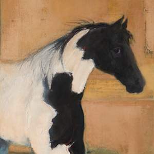 Pony by renée  alyson, Image 1.