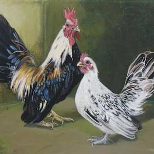 Gene's Pair by renée  alyson, Image 1.