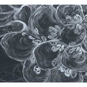 Siphonophores by Mina Todorović, Image 1.