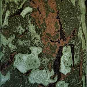 Moss by Mina Todorović, Image 1.
