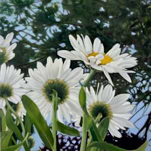 Did you see that Daisy? by Ritu Bajaj, Image 1.