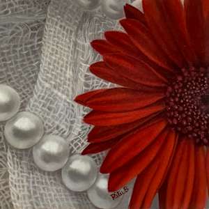 Petals and pearls by Ritu Bajaj, Image 1.
