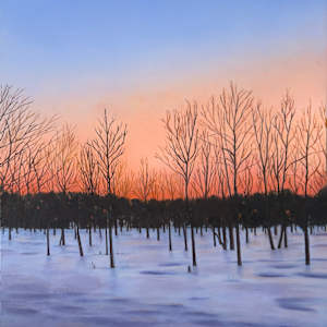 Winter Sunset by Ritu Bajaj, Image 1.