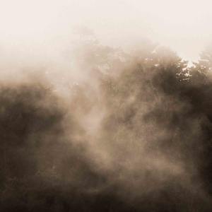 Selections from Emergence by Jenny Helbraun Abramson, Image 2.