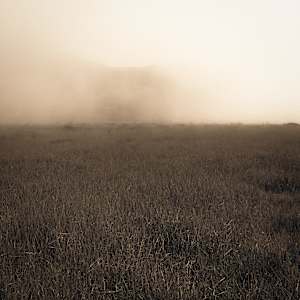 Selections from Emergence by Jenny Helbraun Abramson, Image 4.