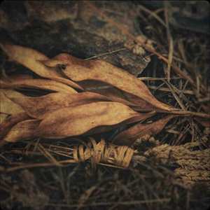 Selections from Emergence by Jenny Helbraun Abramson, Image 5.