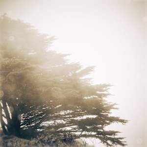 Selections from Emergence by Jenny Helbraun Abramson, Image 8.