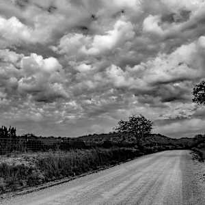 Around the Bend by Christy Crimmins Garcia, Image 9.