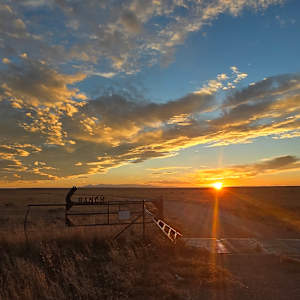 Something in the Orange by Christy Crimmins Garcia, Image 1.