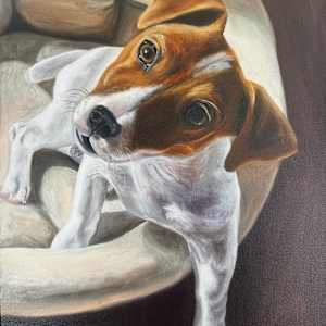 Evie by Letitia Uyak, Image 15.