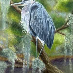 Great Blue Heron by Letitia Uyak, Image 12.