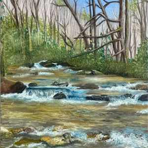 Upstate Stream by Letitia Uyak, Image 1.