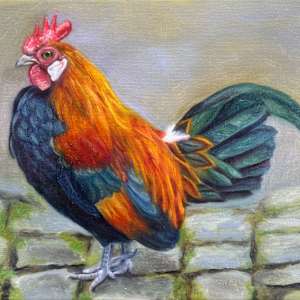 Rooster by Letitia Uyak, Image 1.