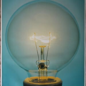 Light Bulb F2LBO5 by Amanda Means