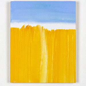 Area 32 by Katrin Roth, Image 1.