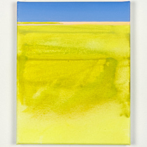 Area 16 by Katrin Roth, Image 1.