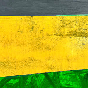 Jump into the Green by Katrin Roth, Image 5.