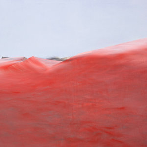 Red Field by Katrin Roth, Image 1.