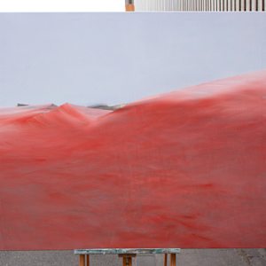 Red Field by Katrin Roth, Image 3.