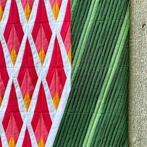 Protea by Ben Millett, Image 2.