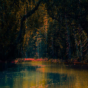 Forest Pond #2 by Steve Avey, Image 1.